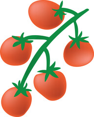 
tamato vector art icon with illustration
