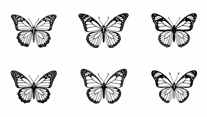 Monochrome Butterfly Collection In Various Poses