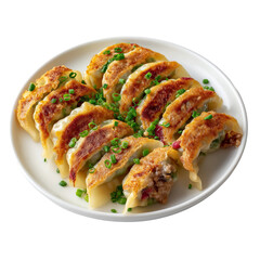 Delicious pan-fried dumplings served on a white plate, ready to enjoy. The dumplings are golden brown, with a savory filling, and garnished with fresh herbs