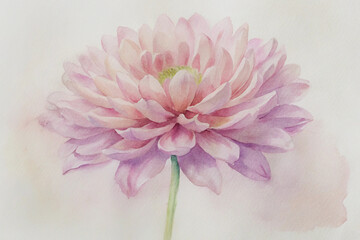 Delicate watercolor painting of a beautiful pink dahlia flower on a soft white background