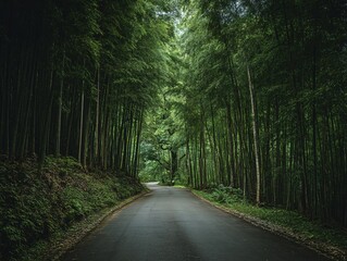 Obraz premium A winding road through a lush bamboo forest.
