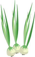 Garlic Line Filed Icon