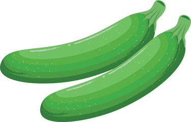 Flat Vegetables Cucumber