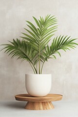 Indoor Areca Palm Plant in White Pot on Wooden Stand Against Textured Wall Studio Shot