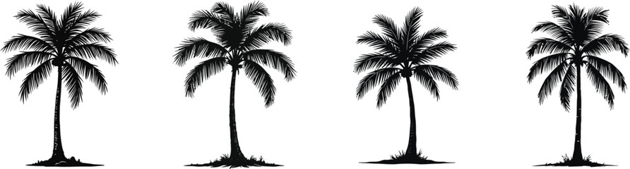 Obraz premium Set of 4 Black Palm Tree Silhouettes Vector Illustration