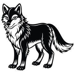 Fototapeta premium Grey Wolf illustration white background