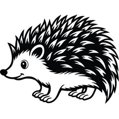 hedgehog illustration white background