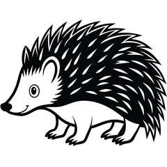 hedgehog illustration white background