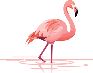 Minimalist Flamingo in Water
