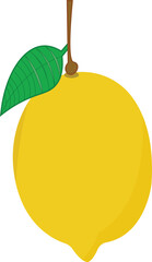 lamon vector easy with illustration 