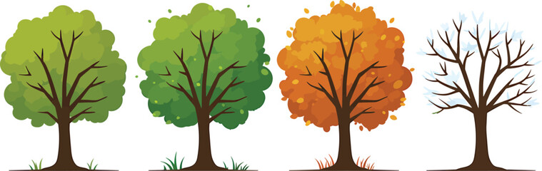 Fototapeta premium Tree in Four Seasons Vector Illustration