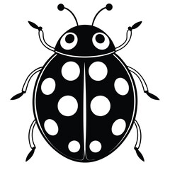 Ladybug illustration white background