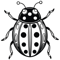 Ladybug illustration white background