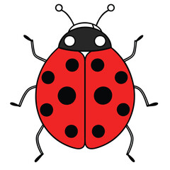 Ladybug illustration white background