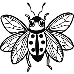 Ladybug illustration white background
