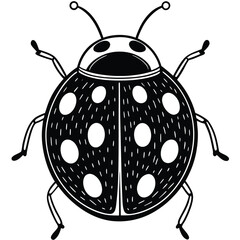Ladybug illustration white background