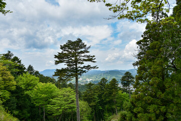 Fototapeta premium 夏の岐阜県の岩村城趾から見た風景