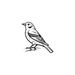 Flying birds silhouettes on white background. Vector illustration. isolated bird flying. tattoo design.