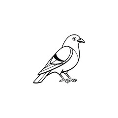 Flying birds silhouettes on white background. Vector illustration. isolated bird flying. tattoo design.