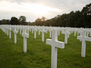 White crosses neatly arranged in cemetery.
