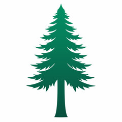 Redwood Tree silhouette icon on white background
