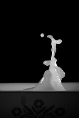 A splash of milk on a black background 