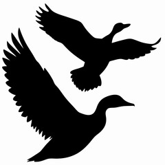 Black and White Flying Duck Silhouette   Soaring Bird Vector Illustration