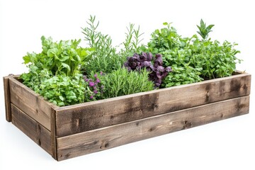 Fototapeta premium Herbs in wooden box isolated on white background for culinary and gardening use