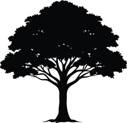 Silhouette of a Majestic Oak Tree