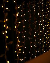 Elegant luminous strands featuring delicate leaves, creating a warm and inviting atmosphere perfect for festive seasons and special occasions, ideal for promotions