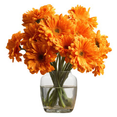 Bright orange flowers blooming in a vase isolated on transparent or white background. A high resolution PNG image of Bright orange flowers blooming in a vase.