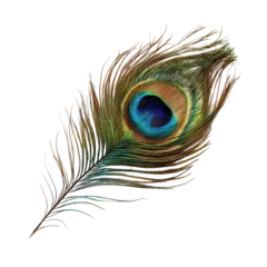 Fototapete Rund Beautiful peacock feather isolated on transparent or white background. A high resolution PNG image of Beautiful peacock feather. © Pixelzone