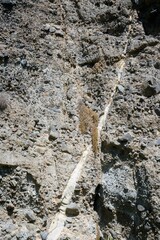 Closeup of rock texture inside Whatipu Caves, New Zealand