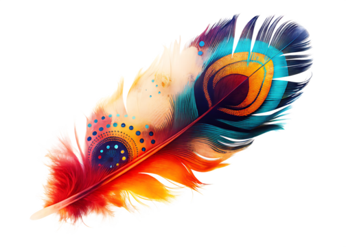 colorful feather isolated on white background PNG