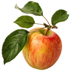 Apple with Water Droplets – PNG File for Adobe Stock