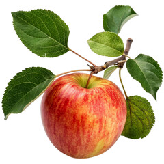 Glossy Apple PNG – Realistic Fruit Image for Projects