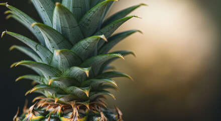 Fototapeta premium Close-up of Fresh Pineapple: Natural Food, Bromeliad Fruit