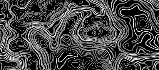 Topographic map like abstract backdrop. vector monochrome seamless pattern, curved lines, black & white layered texture. Abstract dynamical rippled surface.