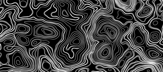 Topographic map like abstract backdrop. vector monochrome seamless pattern, curved lines, black & white layered texture. Abstract dynamical rippled surface.