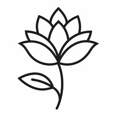 black and white lily