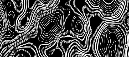 Topographic map like abstract backdrop. vector monochrome seamless pattern, curved lines, black & white layered texture. Abstract dynamical rippled surface.