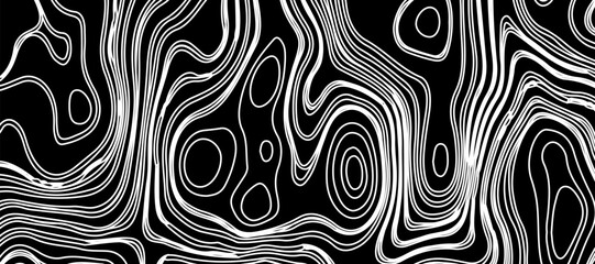Topographic map like abstract backdrop. vector monochrome seamless pattern, curved lines, black & white layered texture. Abstract dynamical rippled surface.