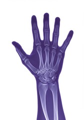 Obraz premium X-Ray Photo of A Hand on Purple Background