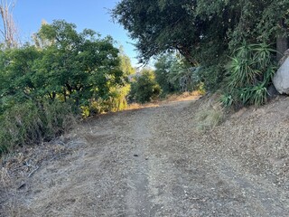 dirt road through the desert forest in the mountains - Escondido, California, USA