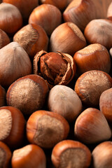 Primo piano di nocciole con guscio, frutta secca biologica 