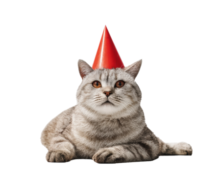 Grey cat wearing a party hat for a birthday celebration - Powered by Adobe