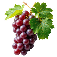 Obraz premium Purple Grapes with Leaves Isolated on White – High-Resolution PNG for Wine, Food Design, and Health-Themed Projects