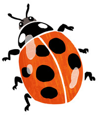 Simple hand drawn ladybug vector illustration