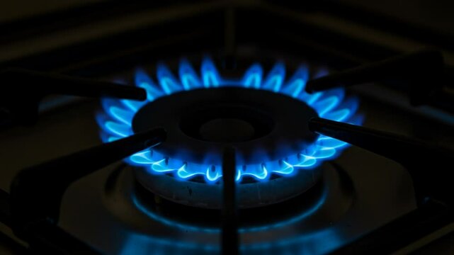 Close-up of blue flame on gas stove burner against dark background, symbolizing energy, fuel efficiency, and household utility. Represents natural gas ignition and heating process.








