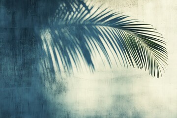 Palm frond shadow on textured wall